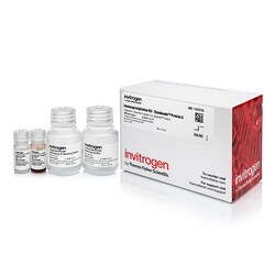 Dynabeads&trade; Protein G Immunoprecipitation Kit